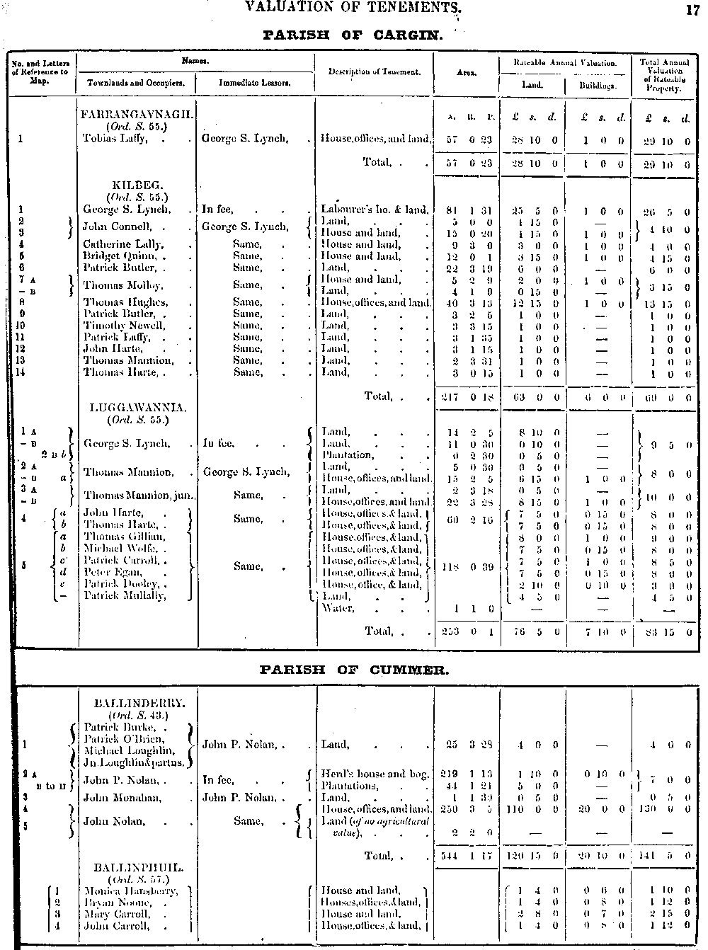 Griffiths Valuation 17 